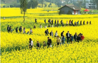 乡村旅游景观如何规划设计