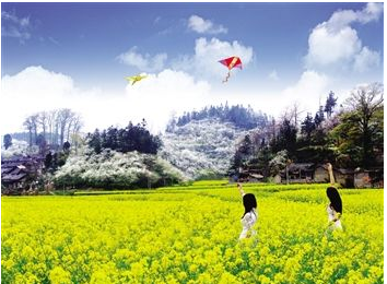重磅会议促进乡村休闲旅游大发展